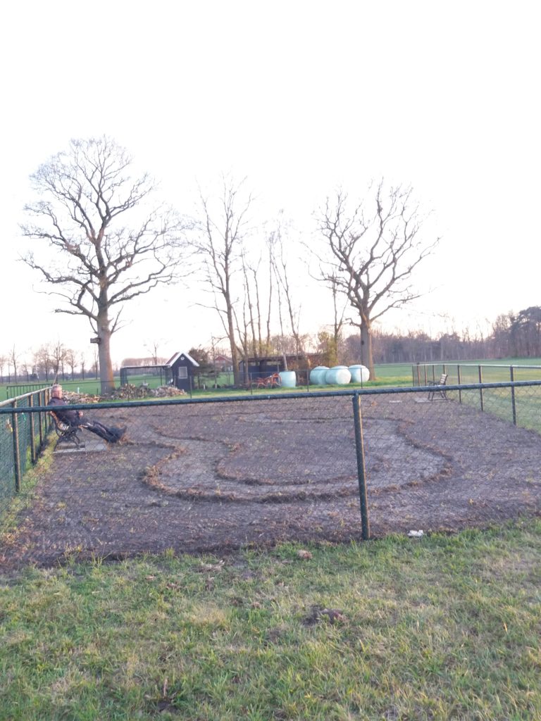 pluktuin
